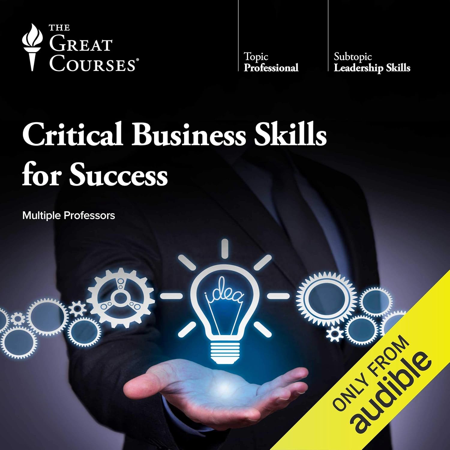 Critical Business Skills for Success book cover